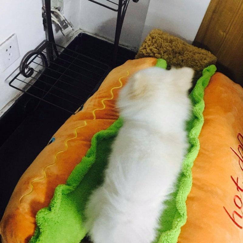 Cama para Pets - Hot Dog - Lojão do Consumidor