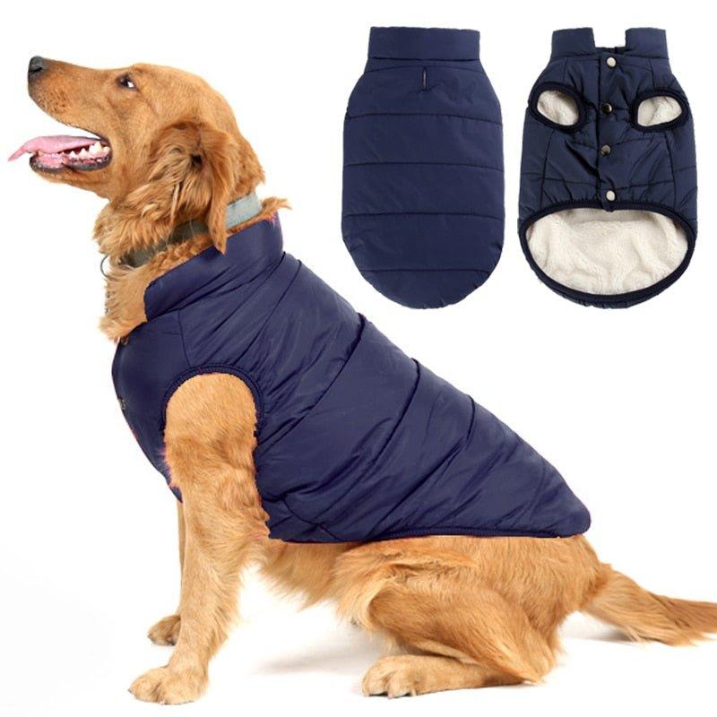 Colete Pet Steve™ | Roupa Para Cachorro - Lojão do Consumidor