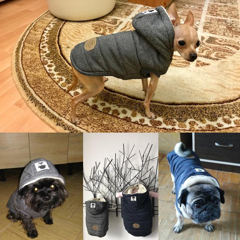 Colete de Inverno para Cachorros | Gentleman - Lojão do Consumidor