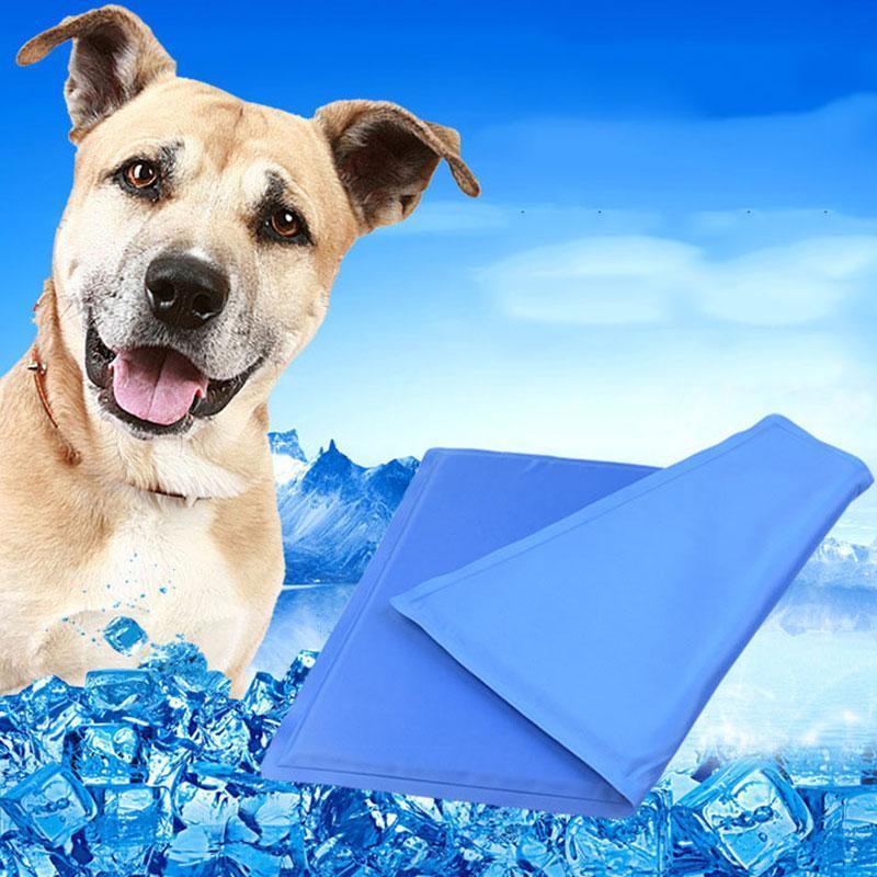 Colchão de Gel para Resfriamento de PETs - Lojão do Consumidor